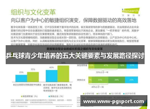 乒乓球青少年培养的五大关键要素与发展路径探讨