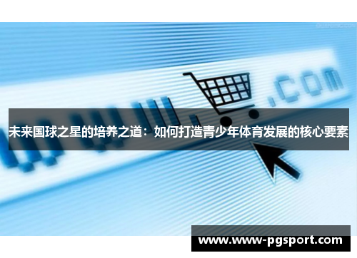 未来国球之星的培养之道：如何打造青少年体育发展的核心要素