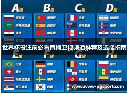 世界杯投注前必看直播卫视频道推荐及选择指南