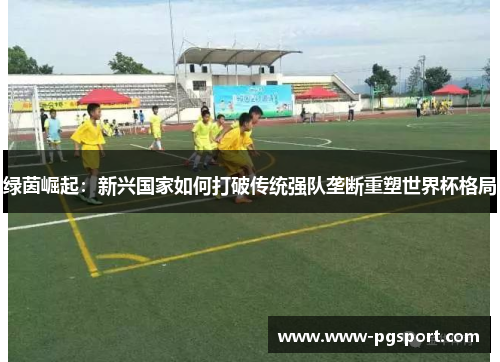 绿茵崛起：新兴国家如何打破传统强队垄断重塑世界杯格局