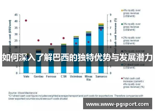 如何深入了解巴西的独特优势与发展潜力