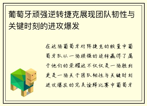 葡萄牙顽强逆转捷克展现团队韧性与关键时刻的进攻爆发
