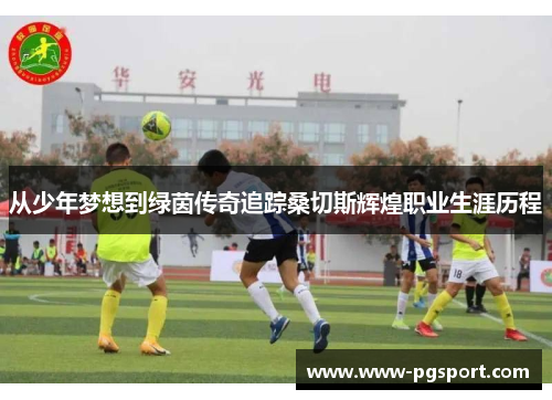 从少年梦想到绿茵传奇追踪桑切斯辉煌职业生涯历程