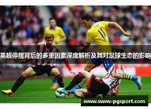 英超停摆背后的多重因素深度解析及其对足球生态的影响